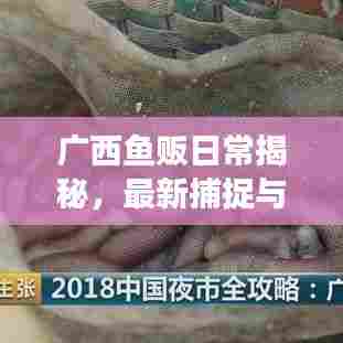 广西鱼贩日常揭秘,最新捕捉与交易纪实视频火爆来袭
