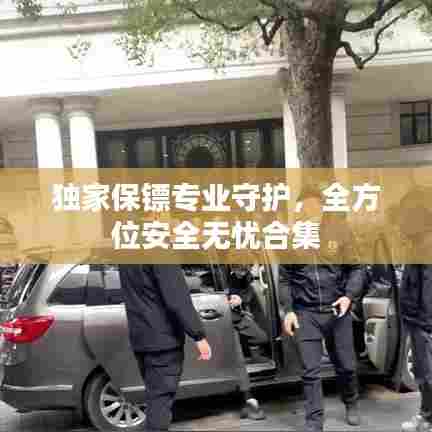 独家保镖专业守护，全方位安全无忧合集