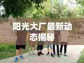 阳光大厂最新动态揭秘