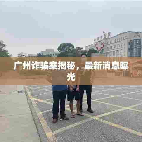 广州诈骗案揭秘，最新消息曝光