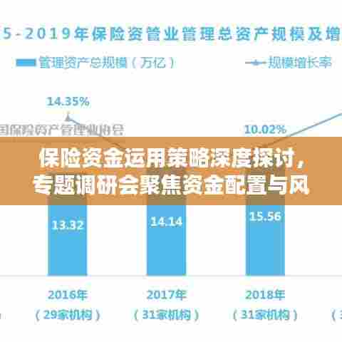 保险资金运用策略深度探讨，专题调研会聚焦资金配置与风险管理