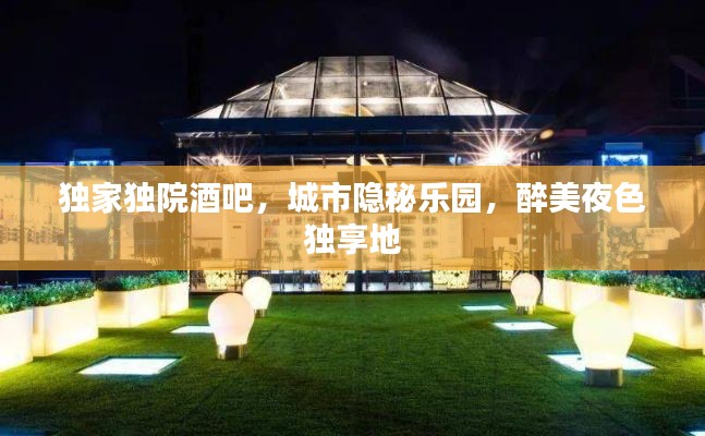 独家独院酒吧,城市隐秘乐园,醉美夜色独享地