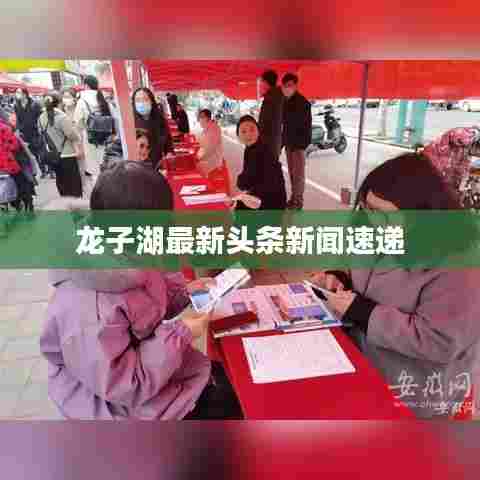 龙子湖最新头条新闻速递