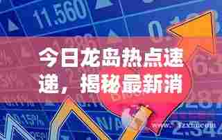 今日龙岛热点速递，揭秘最新消息！