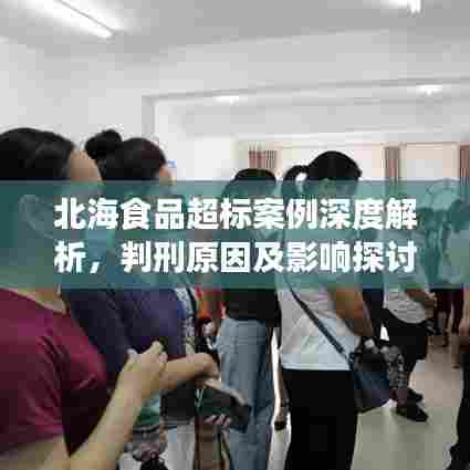 北海食品超标案例深度解析，判刑原因及影响探讨