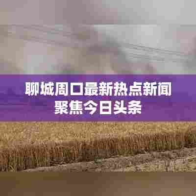 聊城周口最新热点新闻聚焦今日头条