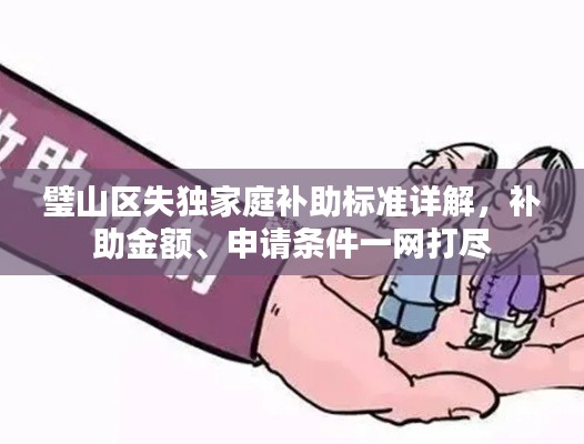 璧山区失独家庭补助标准详解，补助金额、申请条件一网打尽