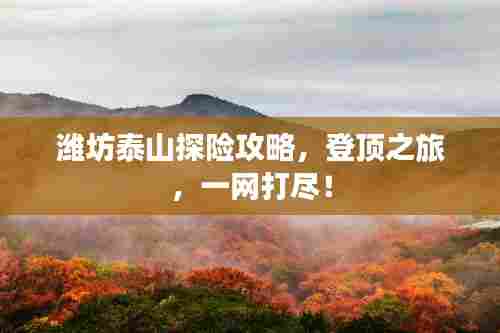 潍坊泰山探险攻略，登顶之旅，一网打尽！