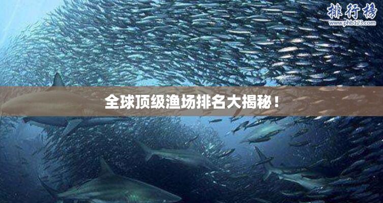 全球顶级渔场排名大揭秘！