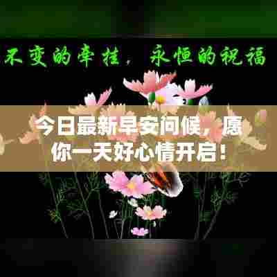 今日最新早安问候，愿你一天好心情开启！