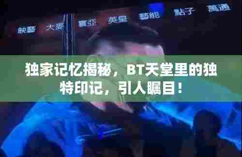 独家记忆揭秘，BT天堂里的独特印记，引人瞩目！