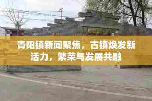 青阳镇新闻聚焦,古镇焕发新活力,繁荣与发展共融