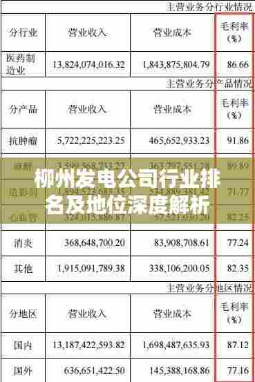 柳州发电公司行业排名及地位深度解析