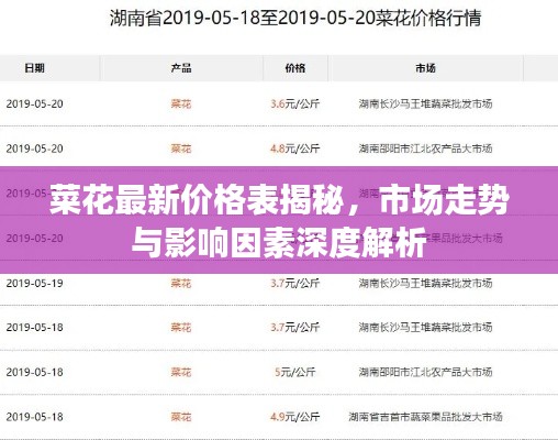 菜花最新价格表揭秘，市场走势与影响因素深度解析