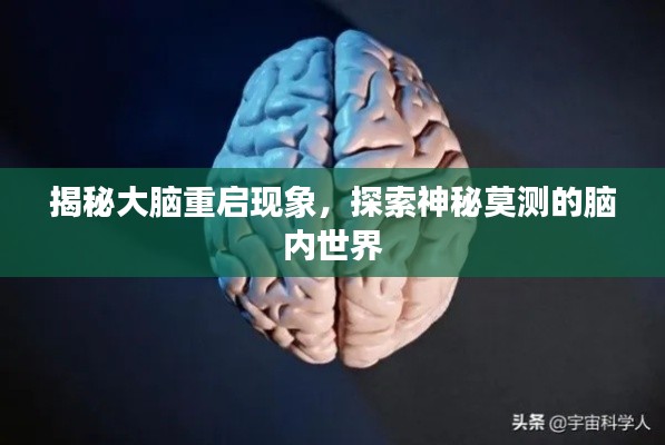 揭秘大脑重启现象，探索神秘莫测的脑内世界