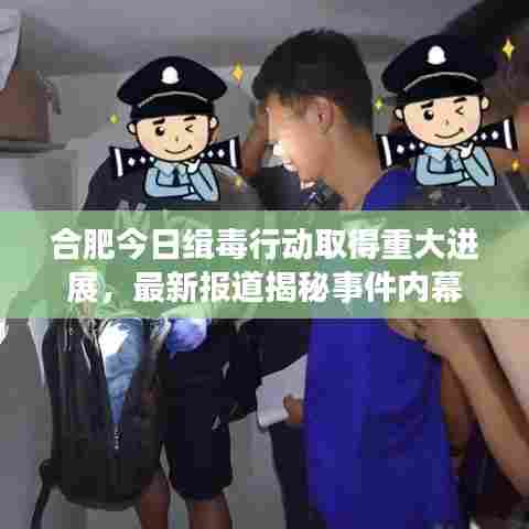 合肥今日缉毒行动取得重大进展，最新报道揭秘事件内幕