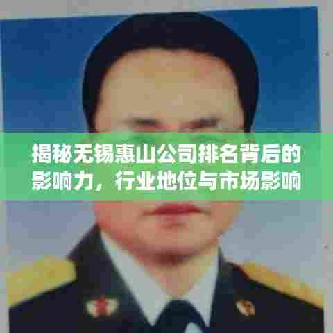 揭秘无锡惠山公司排名背后的影响力，行业地位与市场影响力分析