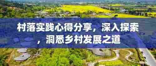 村落实践心得分享,深入探索,洞悉乡村发展之道