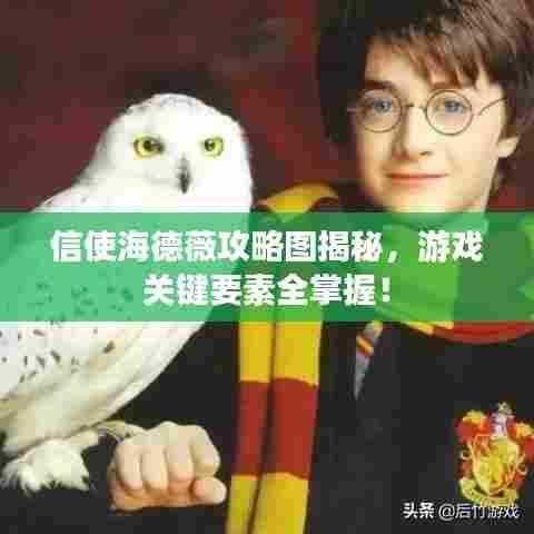 信使海德薇攻略图揭秘,游戏关键要素全掌握!
