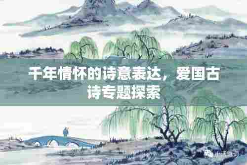 千年情怀的诗意表达,爱国古诗专题探索