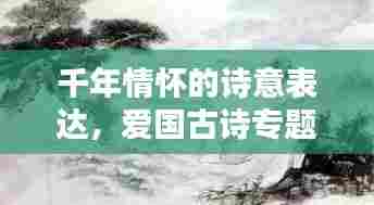 千年情怀的诗意表达，爱国古诗专题探索