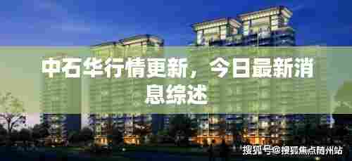 中石华行情更新，今日最新消息综述