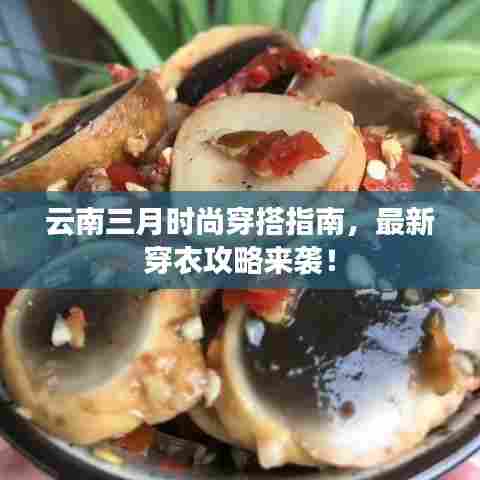 云南三月时尚穿搭指南，最新穿衣攻略来袭！