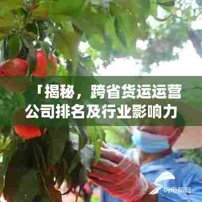 「揭秘，跨省货运运营公司排名及行业影响力重磅榜单」