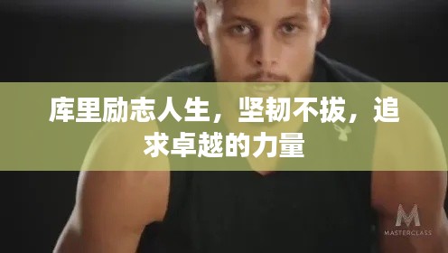 鸷鸟不群 第6页