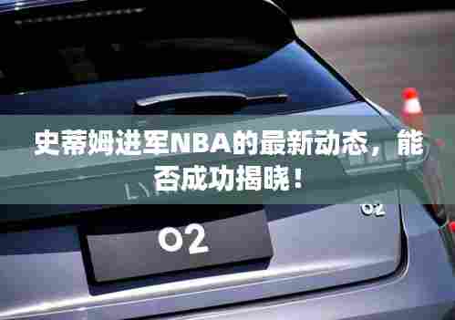 史蒂姆进军NBA的最新动态，能否成功揭晓！