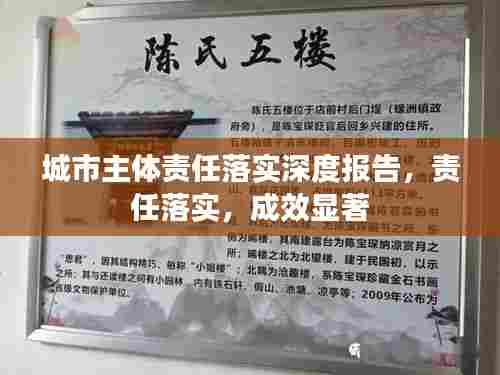 城市主体责任落实深度报告，责任落实，成效显著