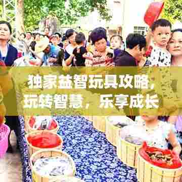 独家益智玩具攻略，玩转智慧，乐享成长之旅