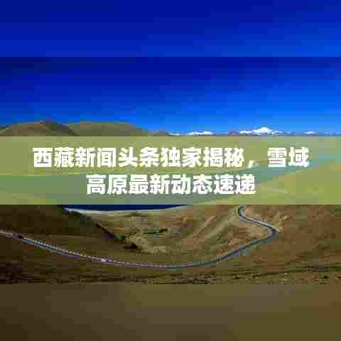 西藏新闻头条独家揭秘，雪域高原最新动态速递