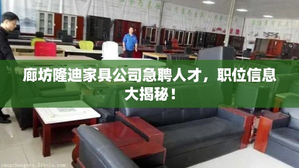 廊坊隆迪家具公司急聘人才，职位信息大揭秘！