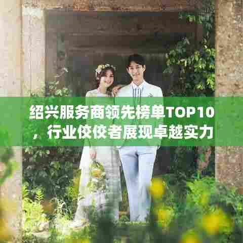 绍兴服务商领先榜单TOP10，行业佼佼者展现卓越实力