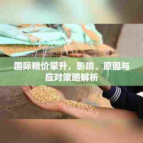 国际粮价攀升,影响、原因与应对策略解析