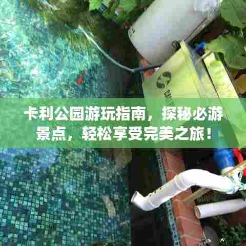 卡利公园游玩指南,探秘必游景点,轻松享受完美之旅!