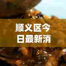 顺义区今日最新消息速递