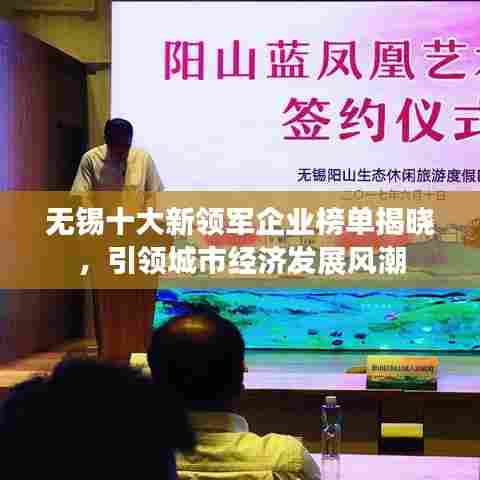 无锡十大新领军企业榜单揭晓,引领城市经济发展风潮