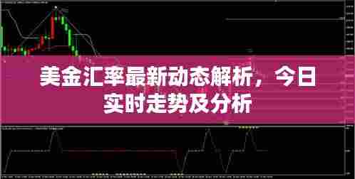 美金汇率最新动态解析，今日实时走势及分析