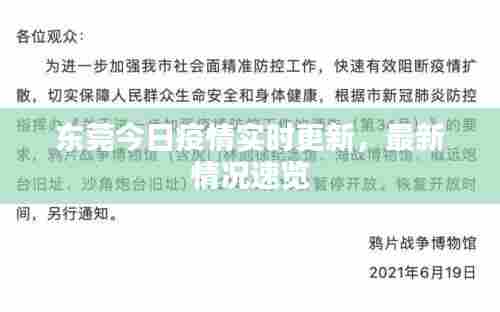 东莞今日疫情实时更新，最新情况速览