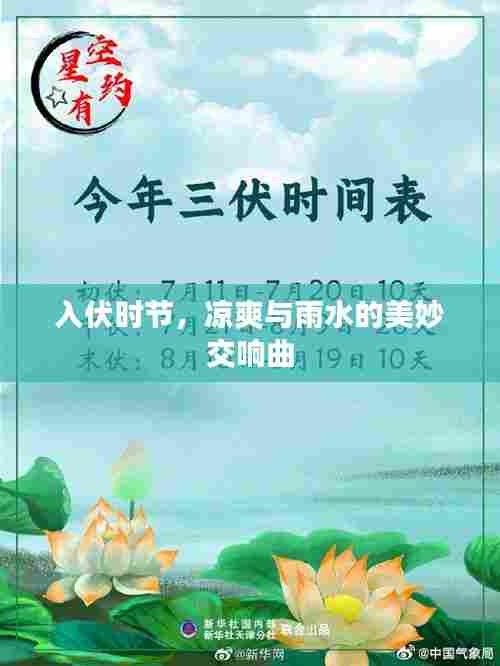 入伏时节,凉爽与雨水的美妙交响曲