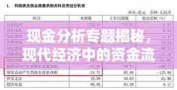 现金分析专题揭秘，现代经济中的资金流向探究
