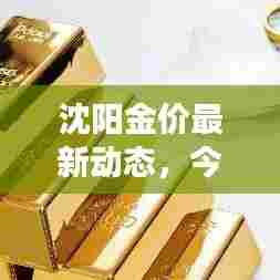 沈阳金价最新动态，今日金价查询，深度解读黄金市场波动与趋势
