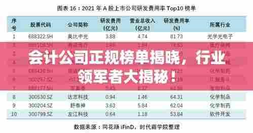 会计公司正规榜单揭晓,行业领军者大揭秘!