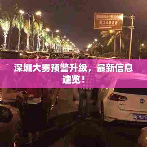 深圳大雾预警升级，最新信息速览！