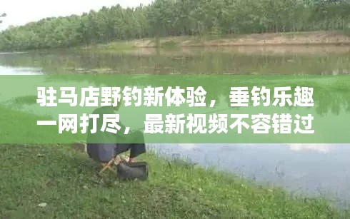 驻马店野钓新体验，垂钓乐趣一网打尽，最新视频不容错过