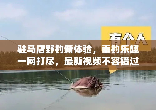 驻马店野钓新体验,垂钓乐趣一网打尽,最新视频不容错过