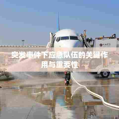 突发事件下应急队伍的关键作用与重要性