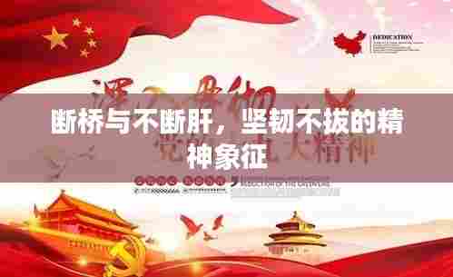 断桥与不断肝，坚韧不拔的精神象征